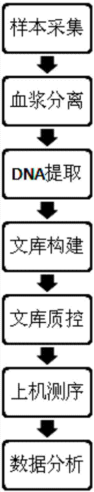 Establishment method for small fragmental DNA (Deoxyribose Nucleic Acid) library based on Ion ProtonTM sequencing platform and application of establishment method