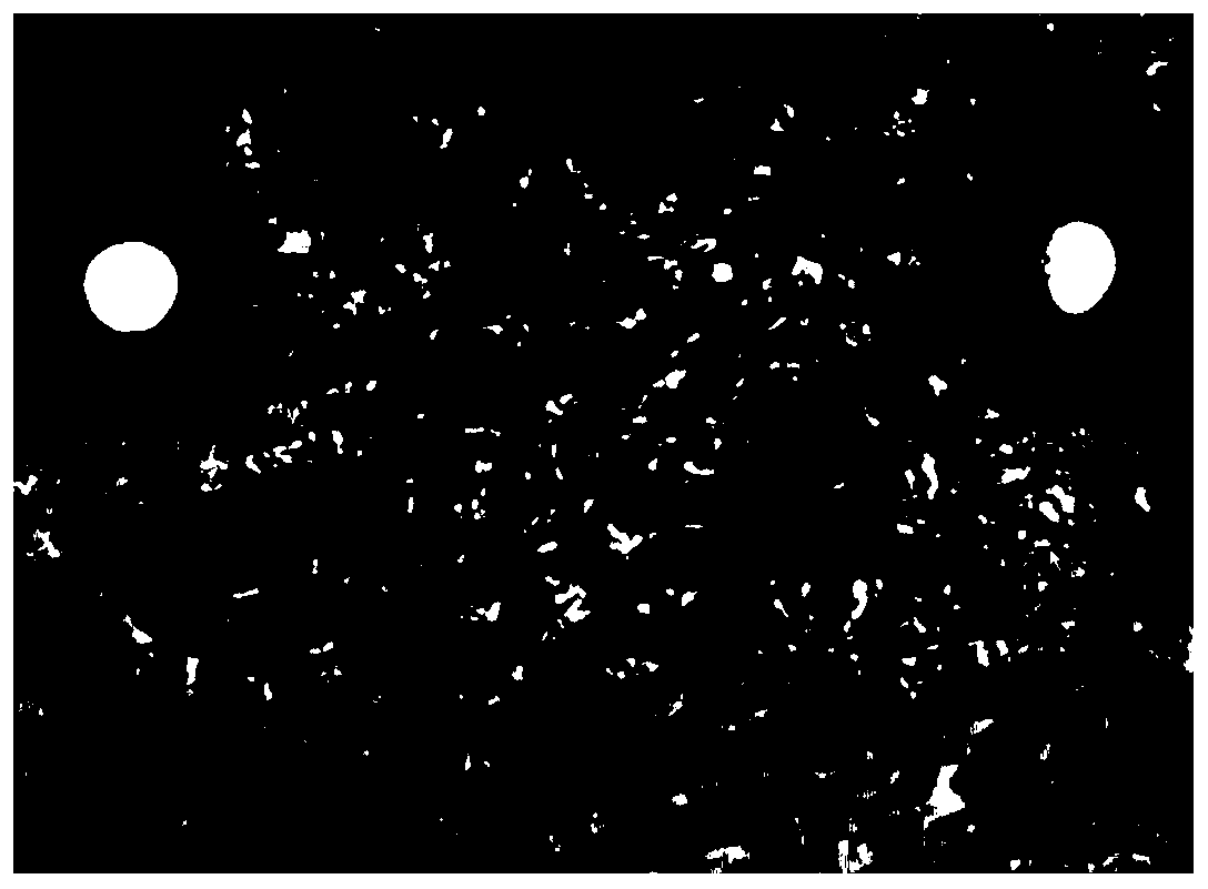 Microporous RTM (regenerative tissue matrix) as well as preparation and application thereof