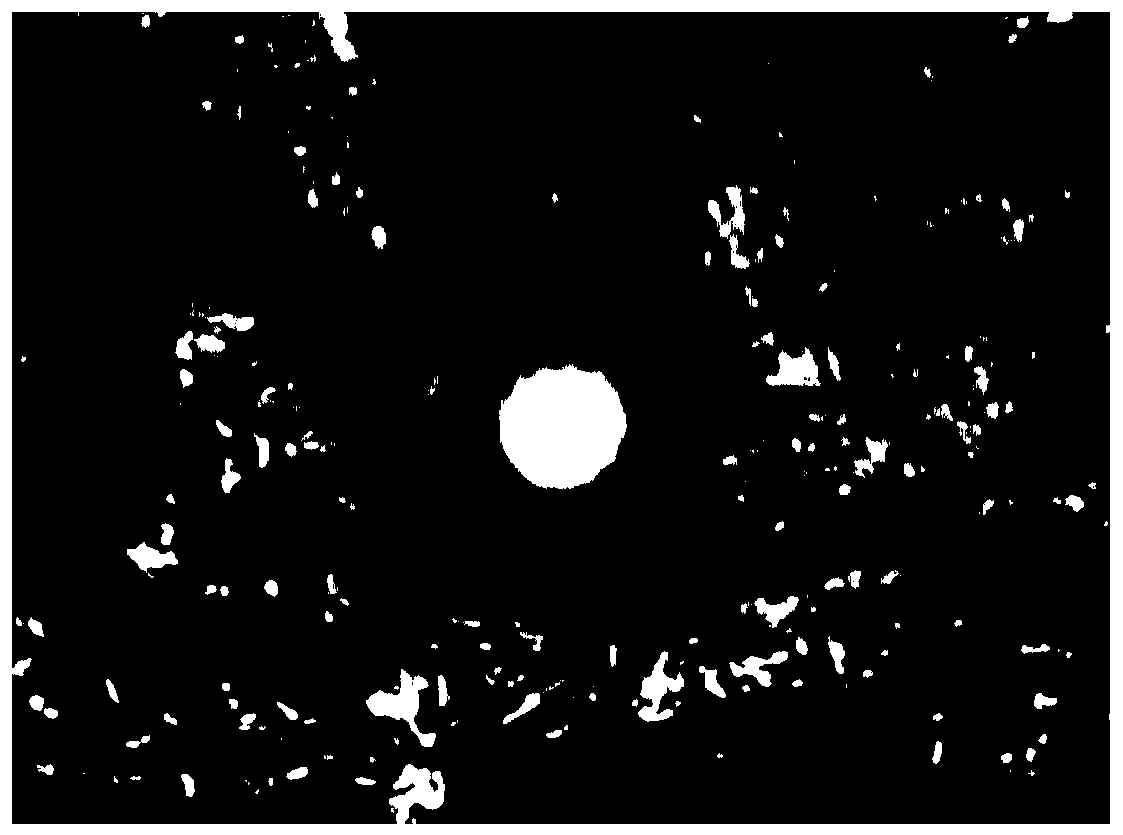 Microporous RTM (regenerative tissue matrix) as well as preparation and application thereof