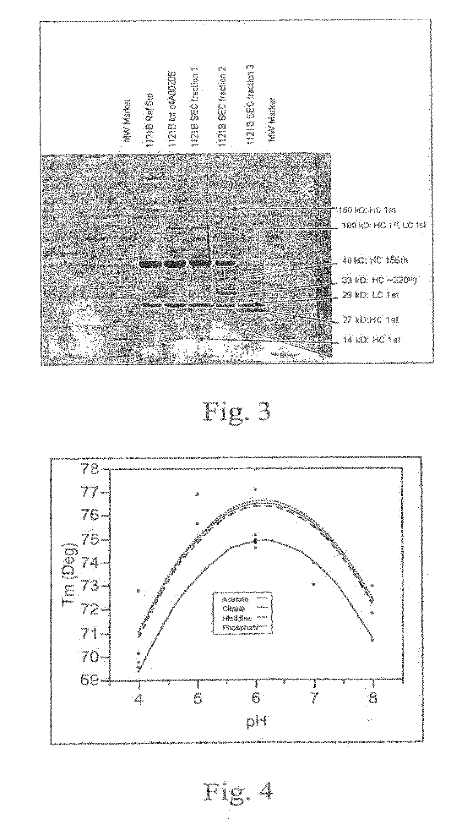 Antibody Formulation