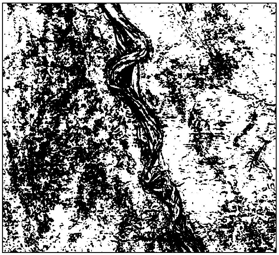 Fine identification method for sedimentary elements of waterway complex based on spectral decomposition and coherent attribute fusion process