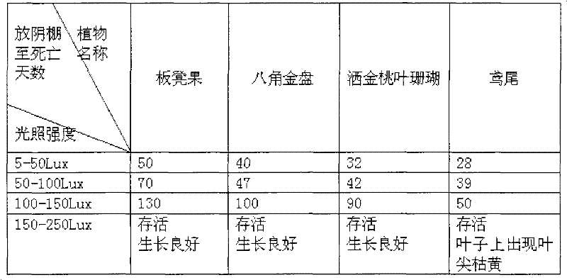 Method for cutting pachysandra axillaris