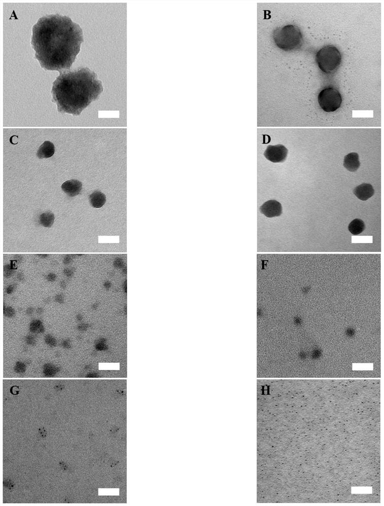 Preparation method and application of polypyrrole nanoparticles with controllable particle diameters