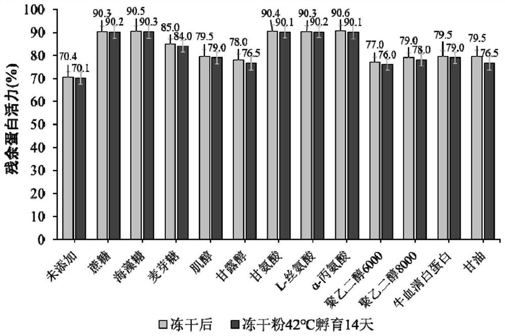 Protease K freeze-drying protective agent and preparation method thereof