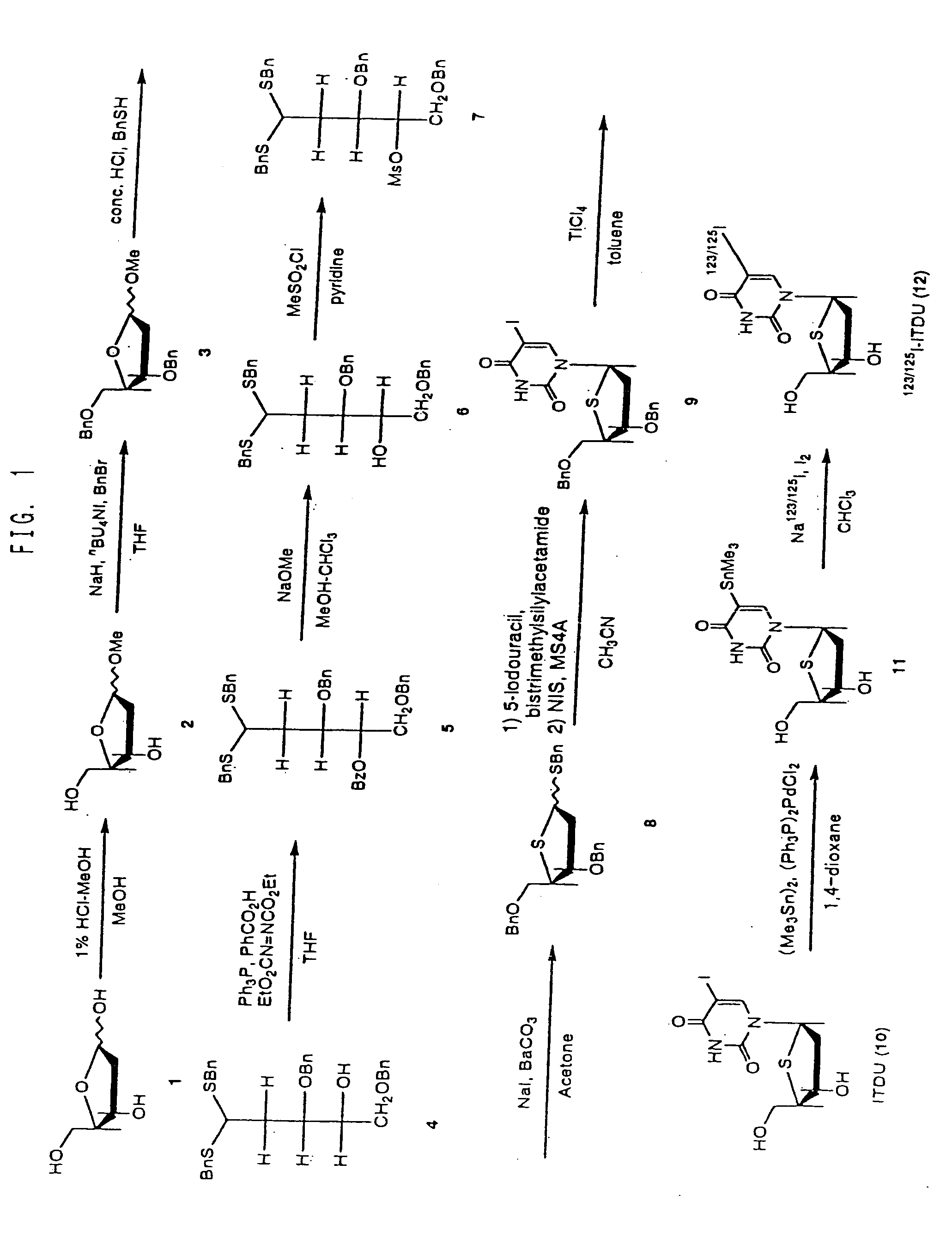 Drugs for the diagnosis of tissue reproductive activity or the treatment of proliferative diseases