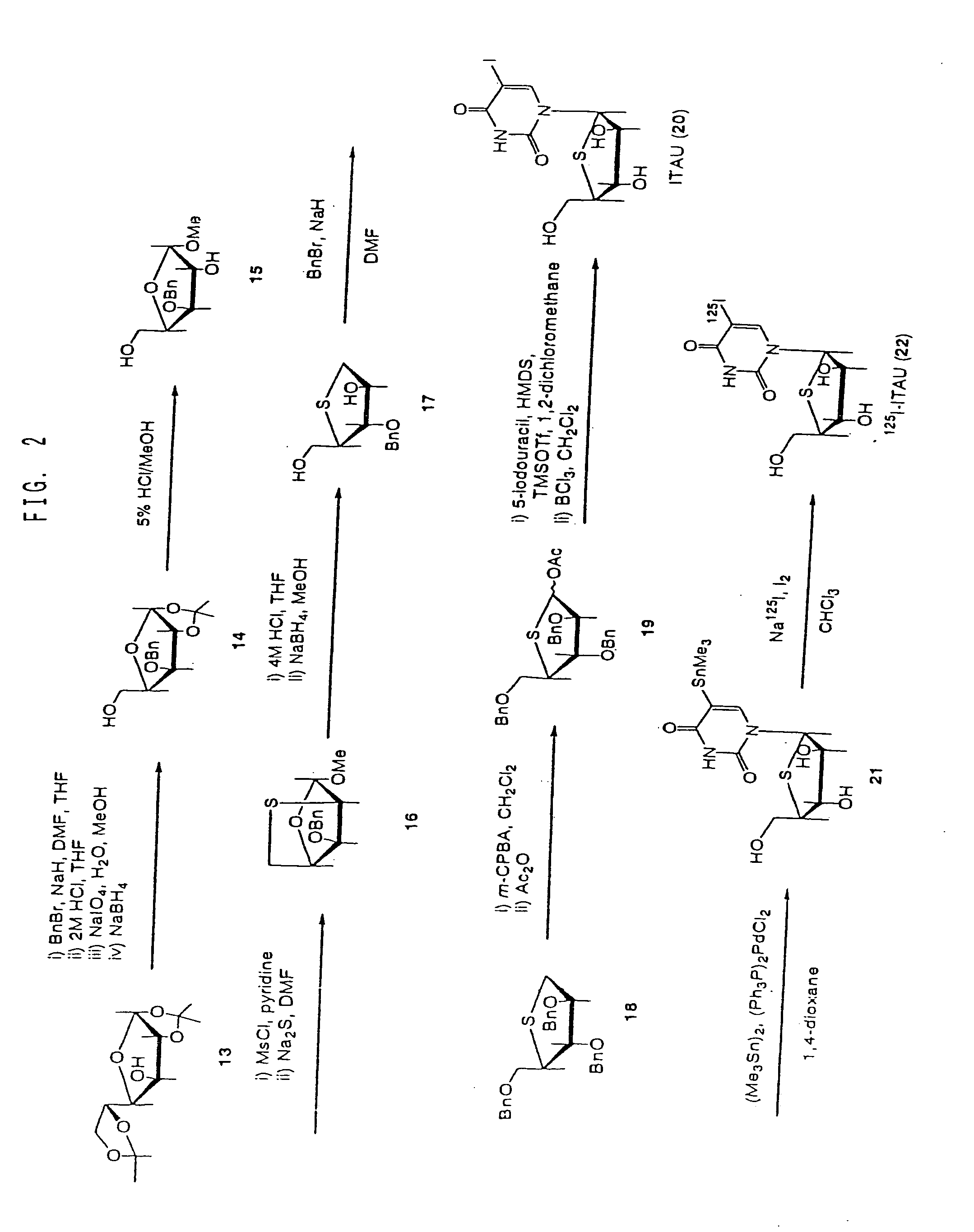 Drugs for the diagnosis of tissue reproductive activity or the treatment of proliferative diseases