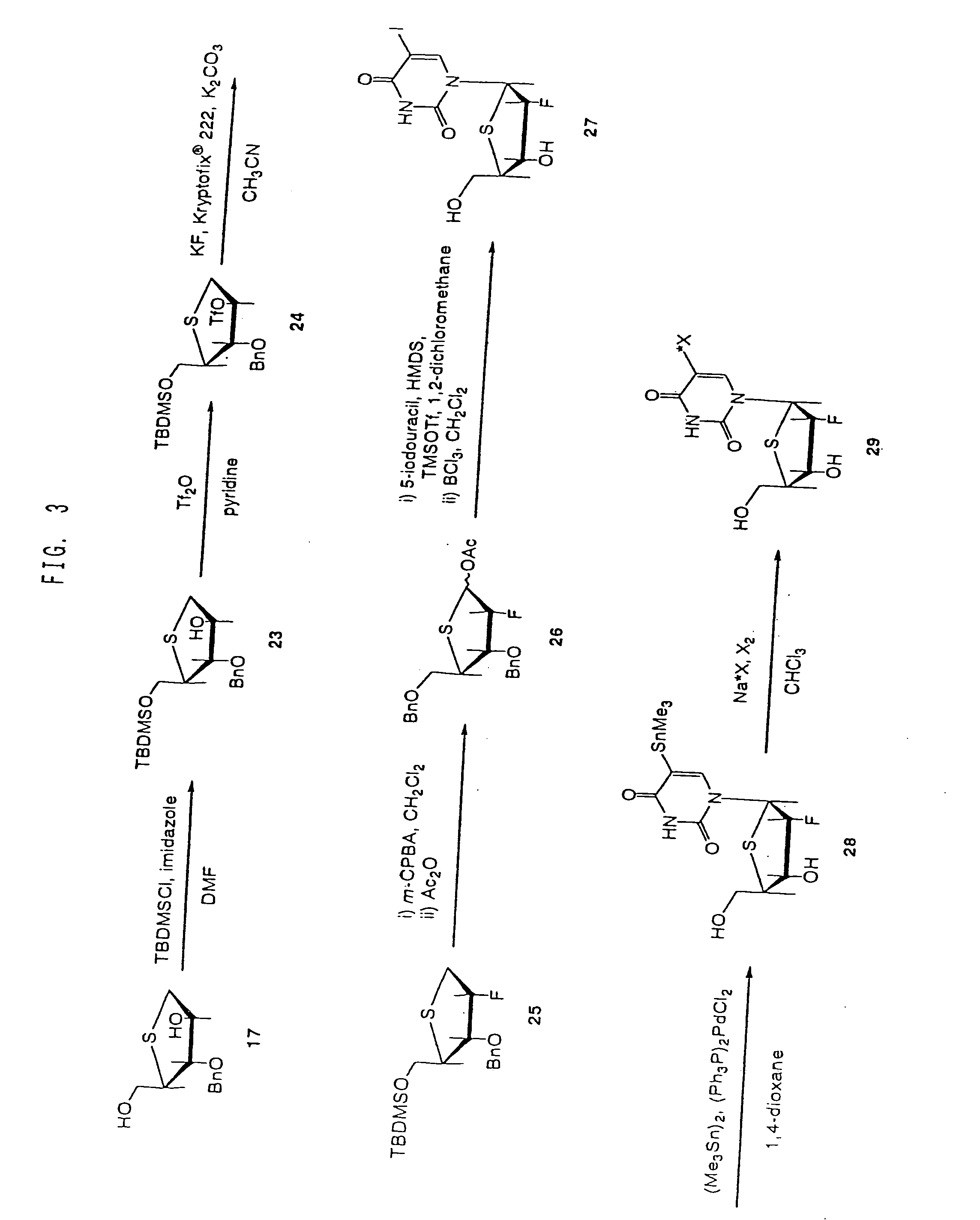 Drugs for the diagnosis of tissue reproductive activity or the treatment of proliferative diseases