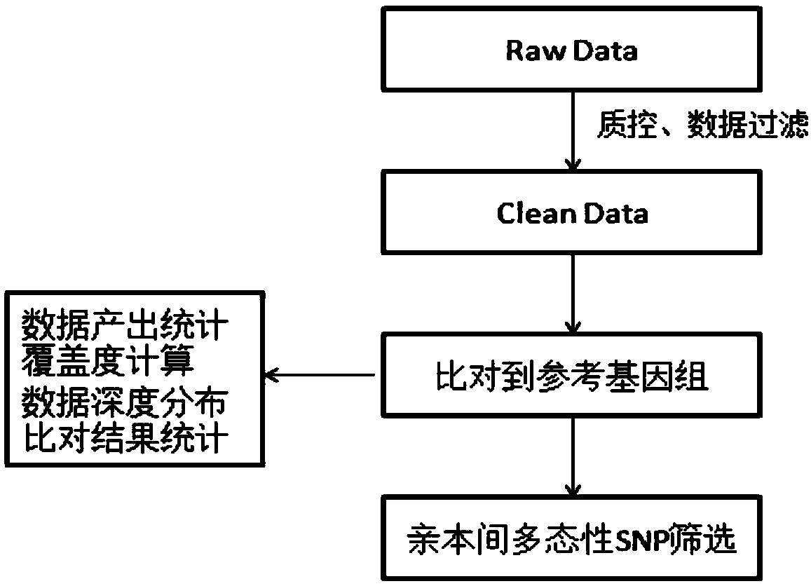 SSR molecular marker in linkage with radish clubroot-resisting QTL and applications of SSR molecular marker