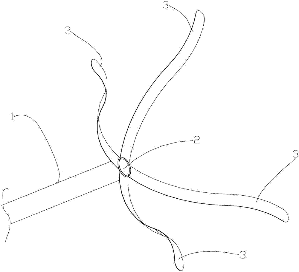 Adsorption-type ablation catheter and ablation device