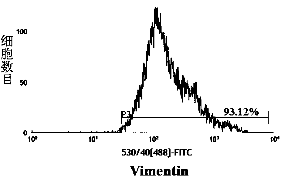 Proliferation accelerant and application thereof