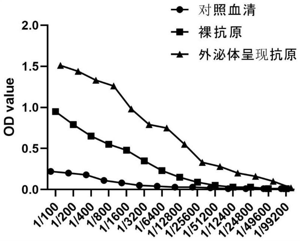 Exosome coupled with coronavirus S protein on surface and preparation method for exosome and application of exosome