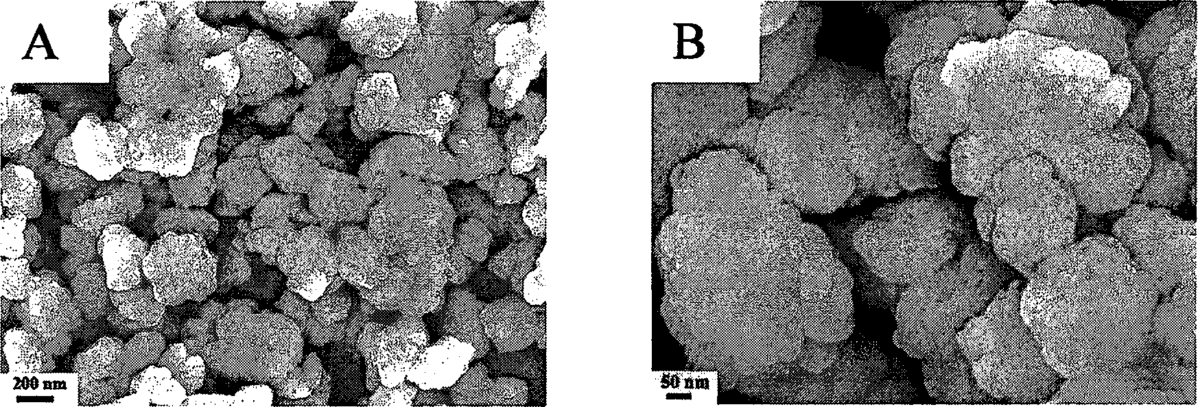 Method for preparing visible light catalyst of Nano crystal BiVO4 in high activity through ultrasound chemistry