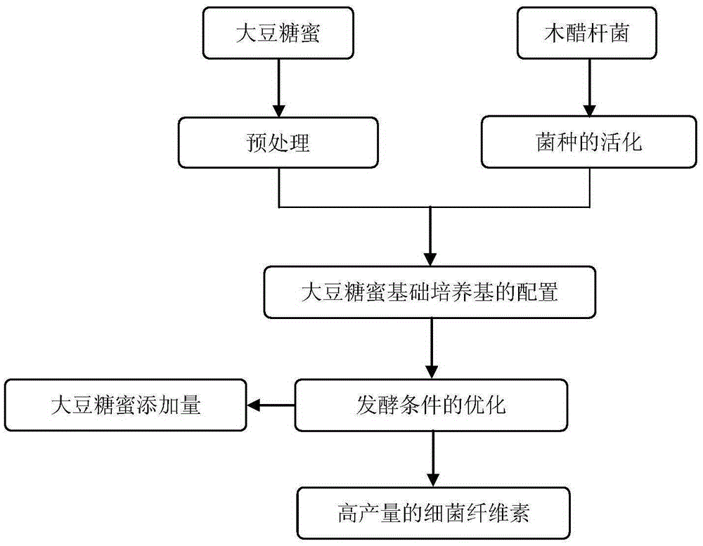 Method for preparing bacterial cellulose from soybean molasses