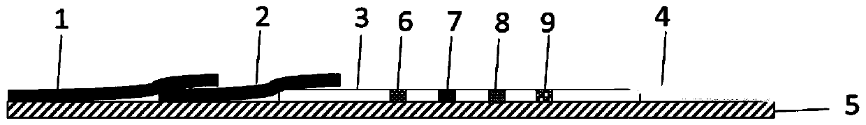 Triple test strip for detecting methamphetamine, morphine and ketamine as well as preparation method and application method of triple test strip