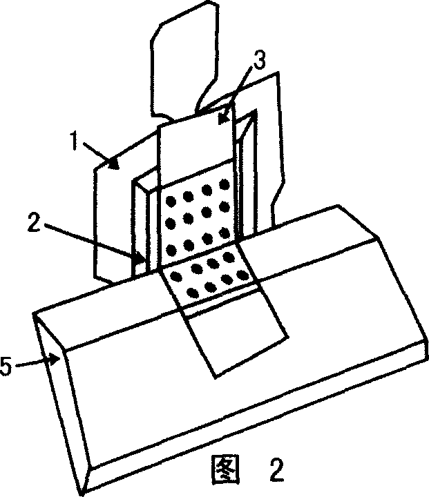 Method for font printing-preparation of tissue slice, and fill-up of tissue chip