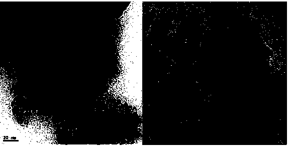 Nanosheet containing noble metal and preparation method thereof