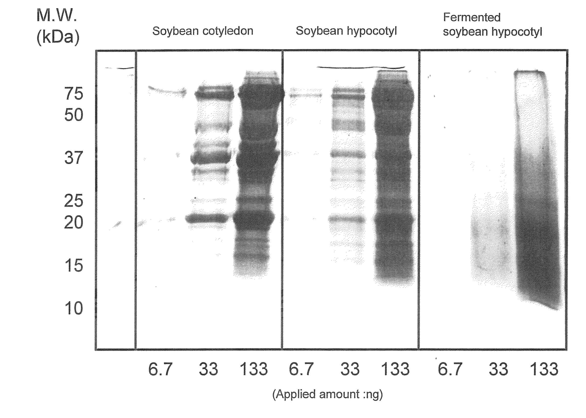 Equol-containing extract, method for production thereof, method for extraction of equol, and equol-containing food