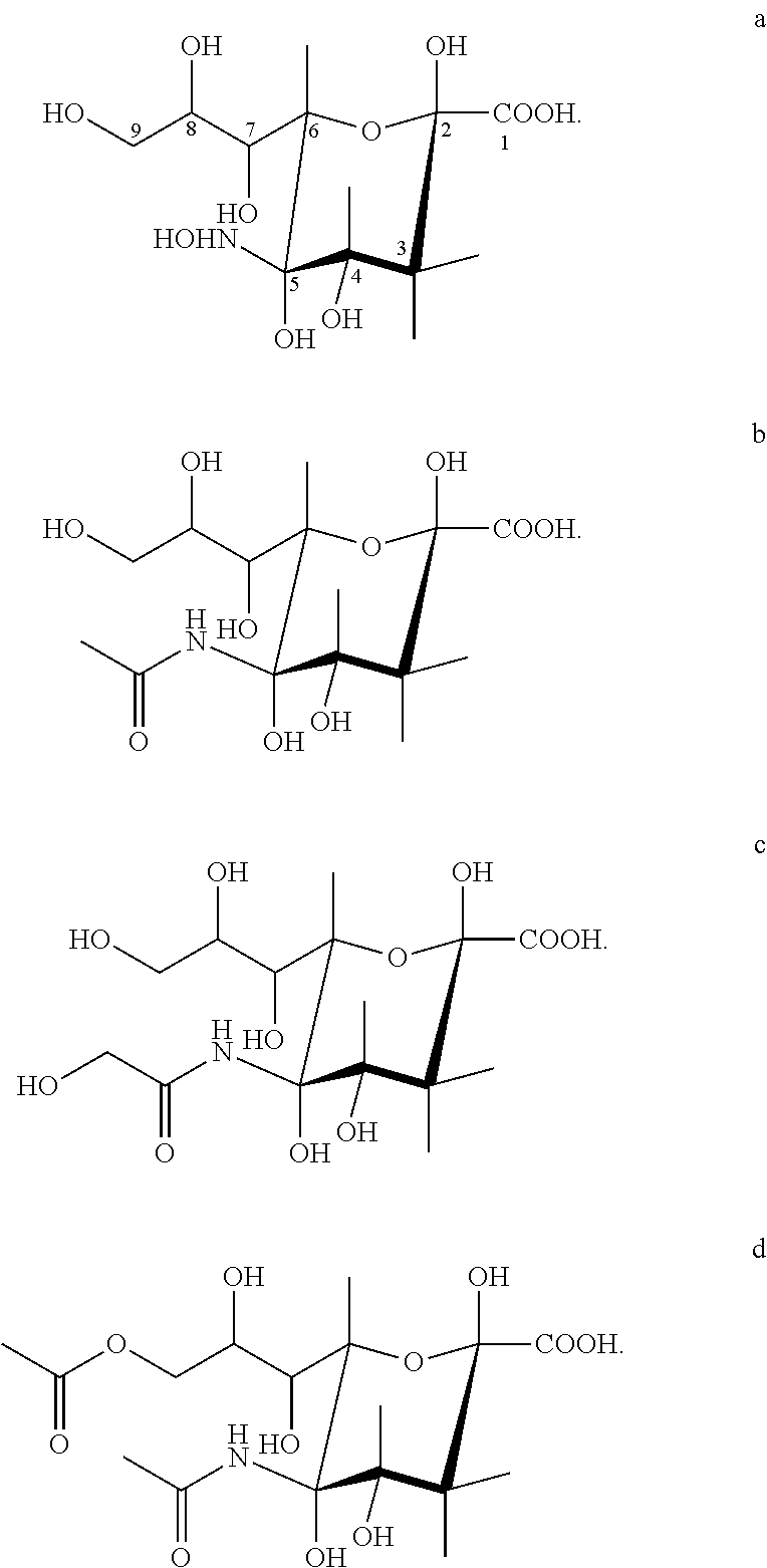 Transgenic insect cells comprising a bacterial glcnac-6-p 2prime-epimerase