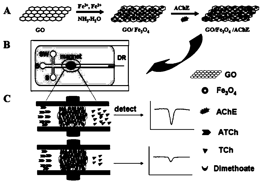 Preparation method and application of micro-enzyme reactor based on magnetic functionalized graphene oxide