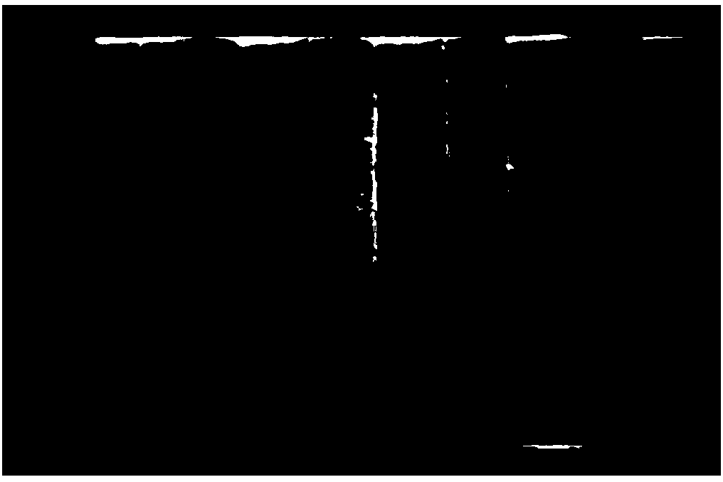 Nanometer calcium carbonate composite resin-based taphole printing ink and preparation method thereof