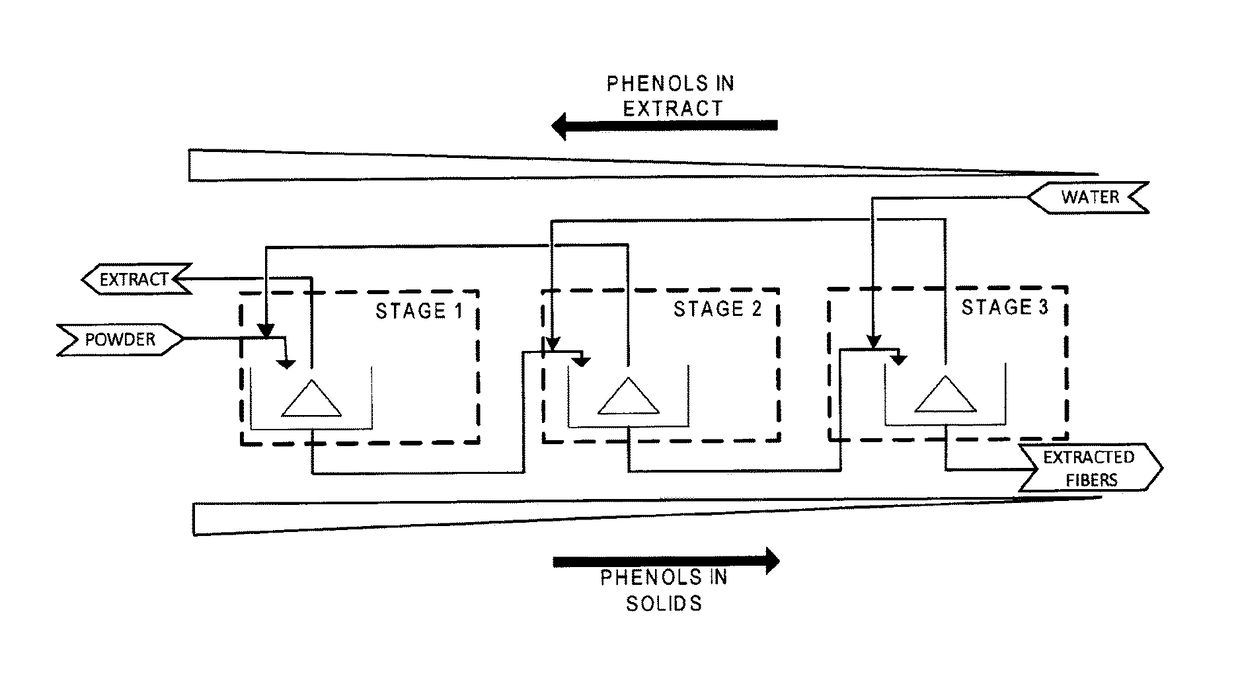 System and process for extraction of products from apple peel