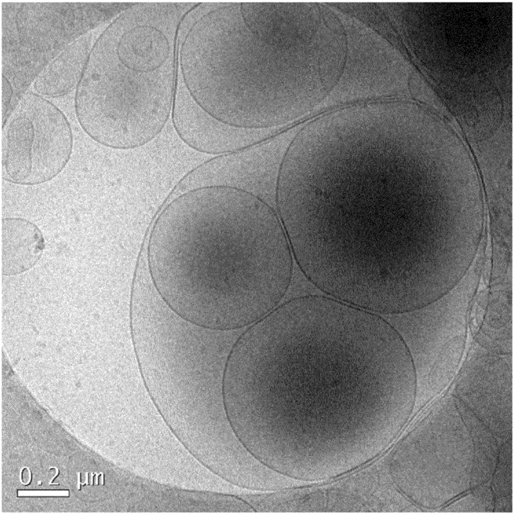 Liposome-based immunotherapy