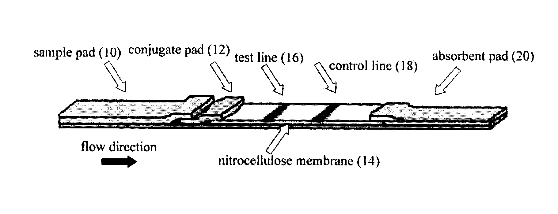 Lateral flow assay system and methods for its use