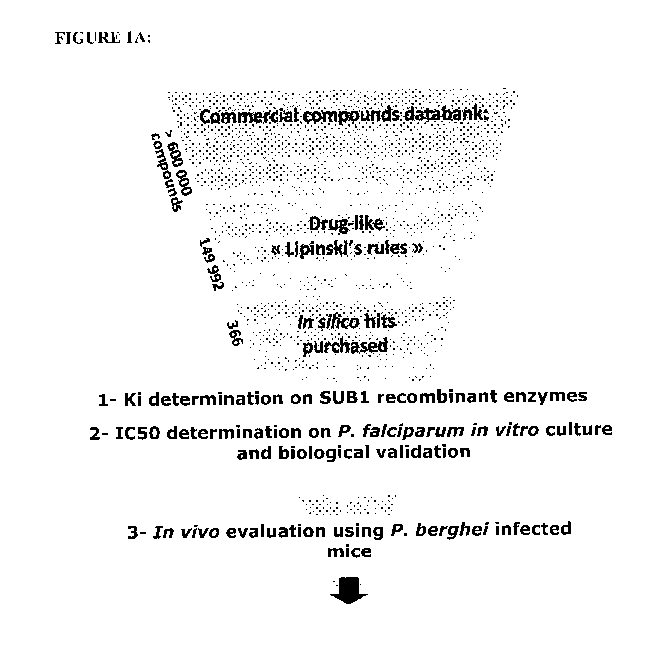 Screening methods for identifying plasmodium proteases inhibitors