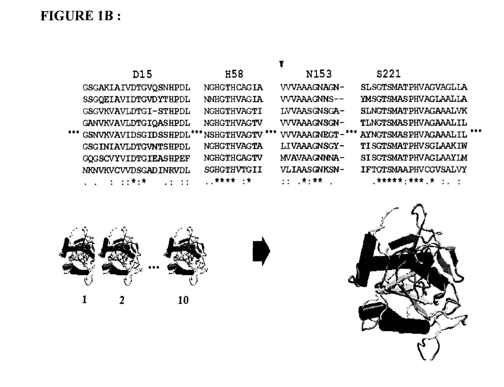 Screening methods for identifying plasmodium proteases inhibitors