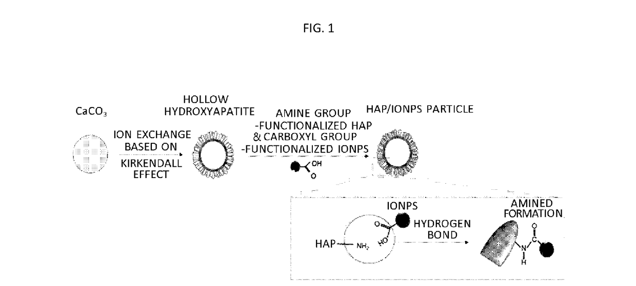 Composites for removing heavy metal and method of synthesizing the same