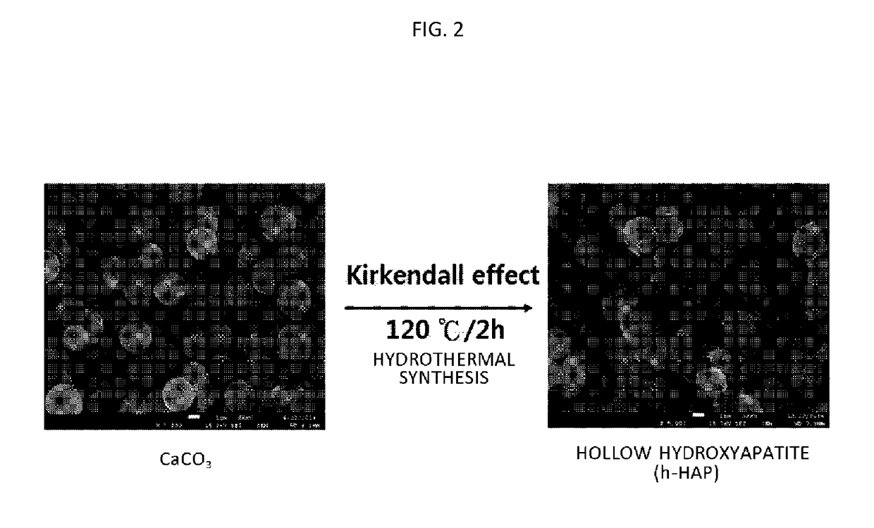 Composites for removing heavy metal and method of synthesizing the same