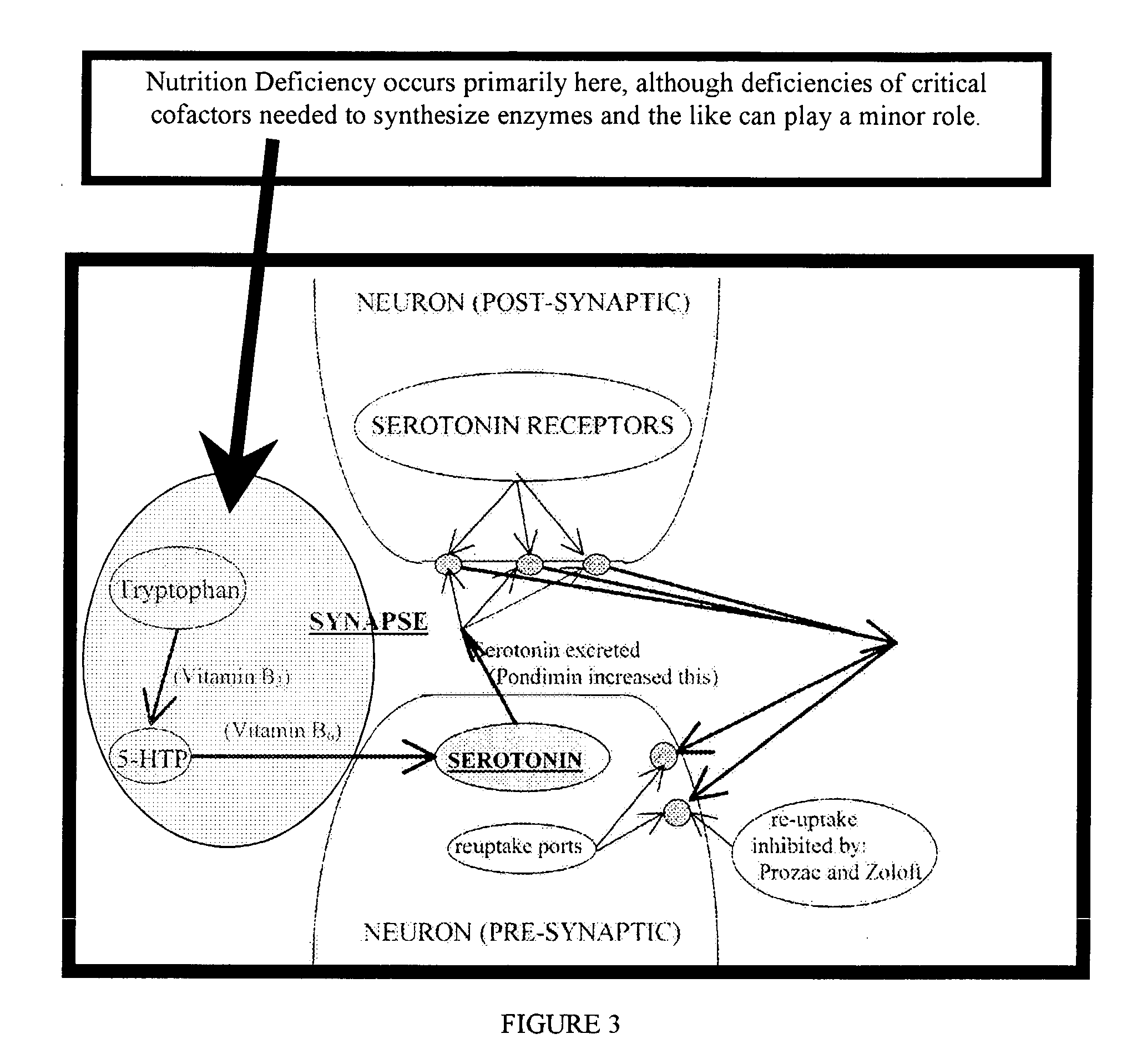 Serotonin and catecholamine system segment optimization technology