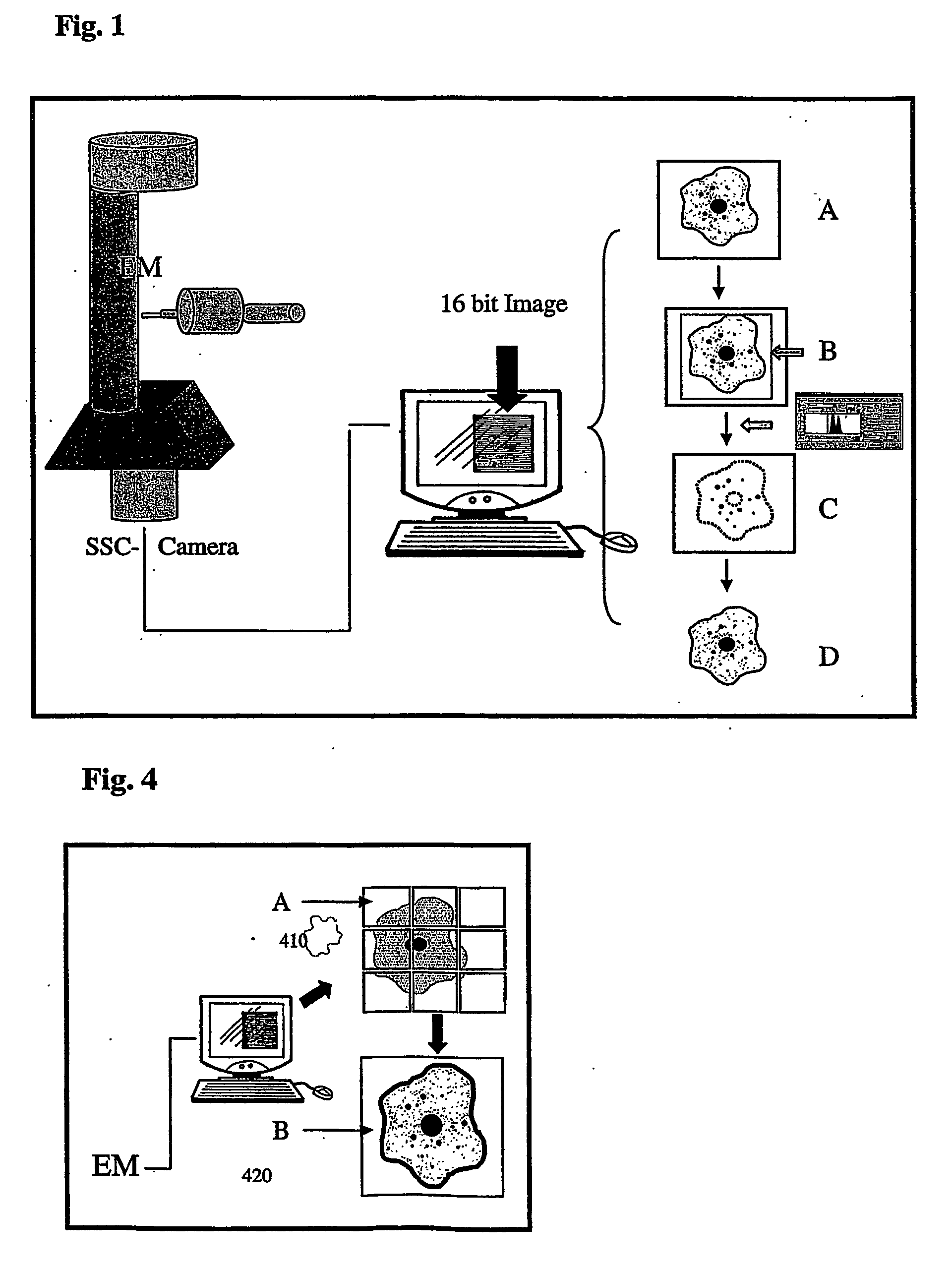 Method and apparatus for multiple labeling detection and evaluation of a plurality of particles