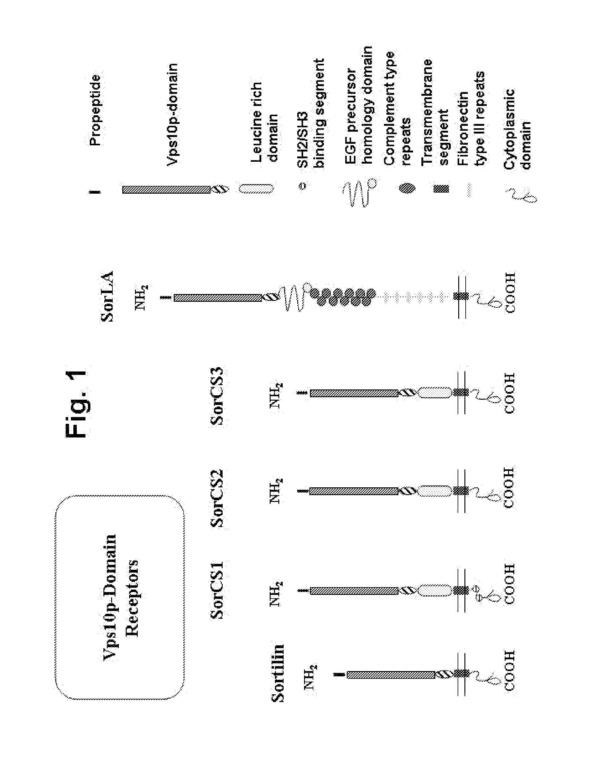 Modulation of the vps10p-domain for the treatment of cardiovascular disease