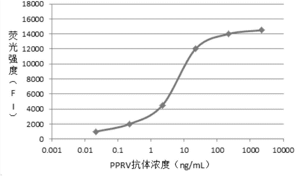 Liquid-phase protein chip kit for simultaneously detecting four types of foreign and new animal diseases and preparation method thereof