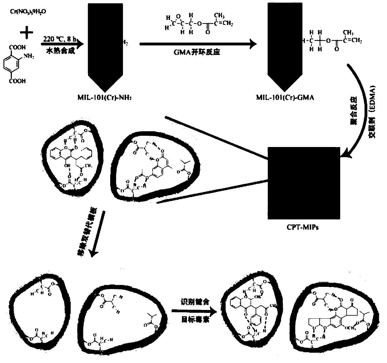 Dual-template molecule amino functionalized metal organic framework imprinted polymer as well as synthesis method and application thereof