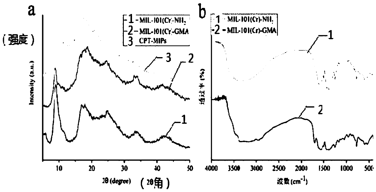 Dual-template molecule amino functionalized metal organic framework imprinted polymer as well as synthesis method and application thereof