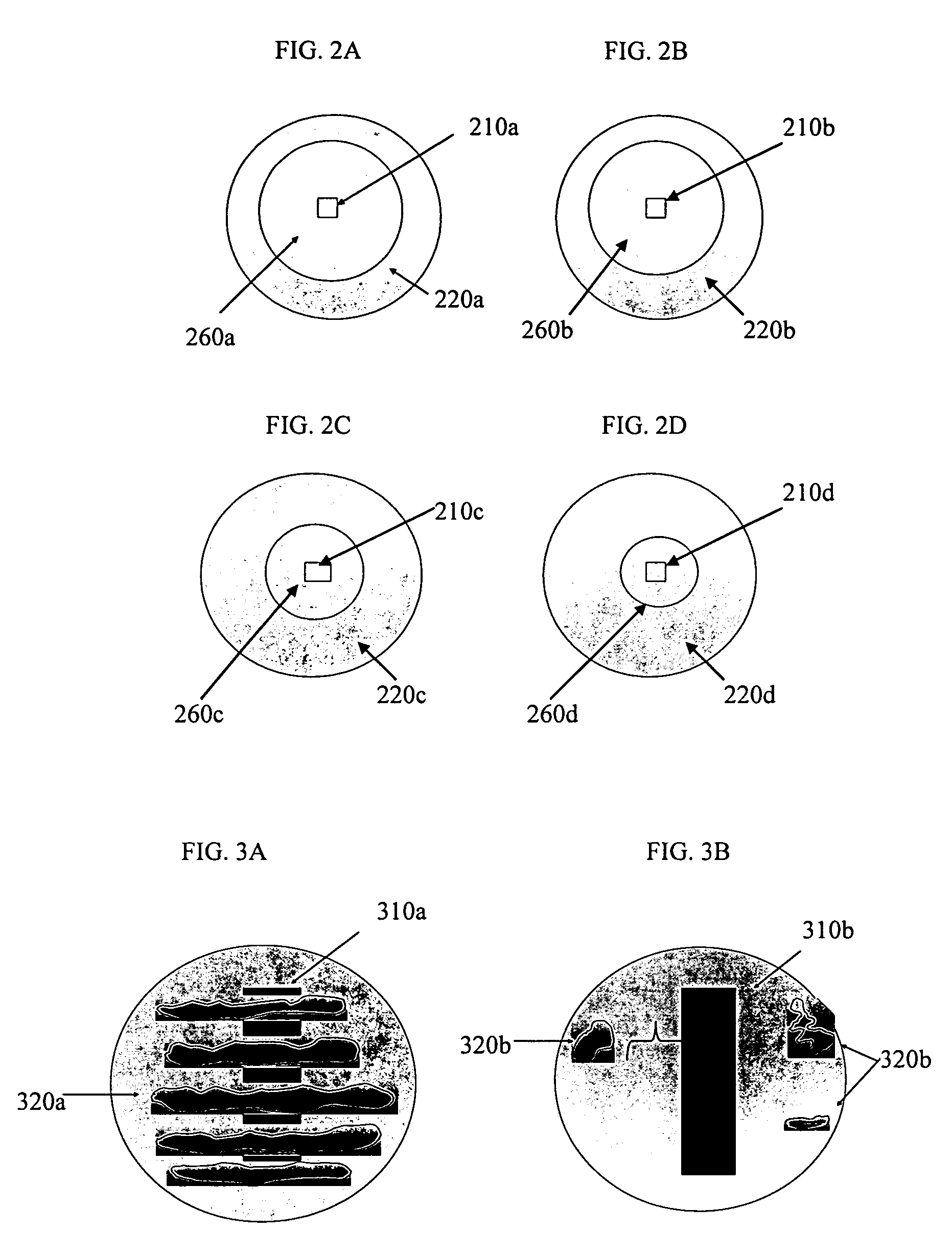 Antibacterial and antifungal material