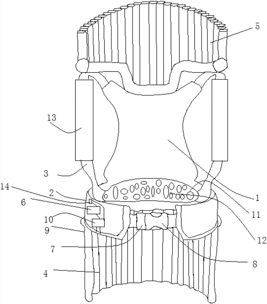 Anti-tumbling waist protection device