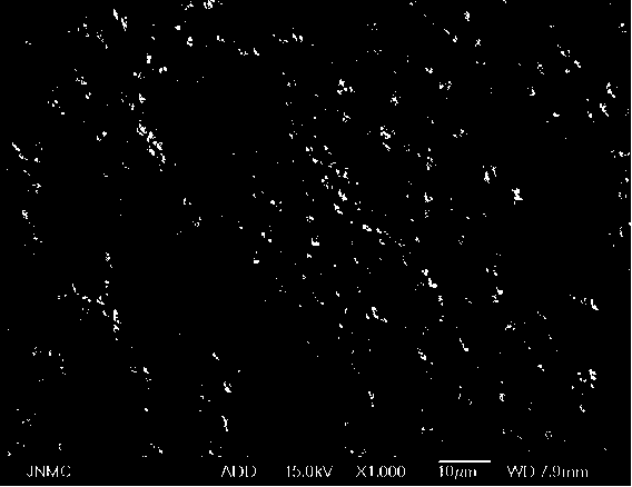 Preparation method of metal coated cobaltosic oxide