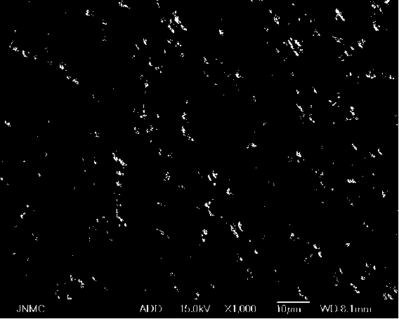 Preparation method of metal coated cobaltosic oxide