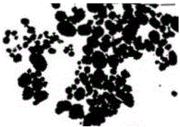 Graphene dispersion slurry and organic and inorganic general priming paint modified by graphene dispersion slurry