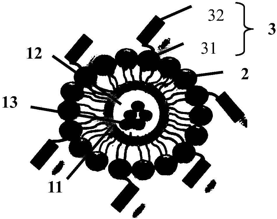 Placenta targeted delivery system and preparation method and application thereof