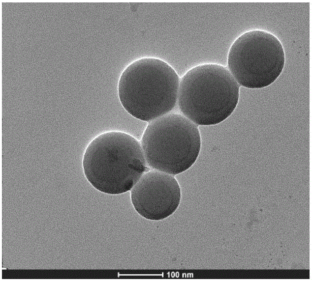 Nano SiO2 composite polysiloxane modified water-based terpenyl EP/PU (Epoxy Resin/Polyurethane) superhydrophobic self-cleaning polymer and preparation method thereof