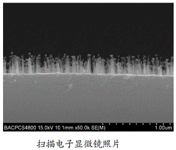 Effective method for doping nitrogen into carbon nanotips