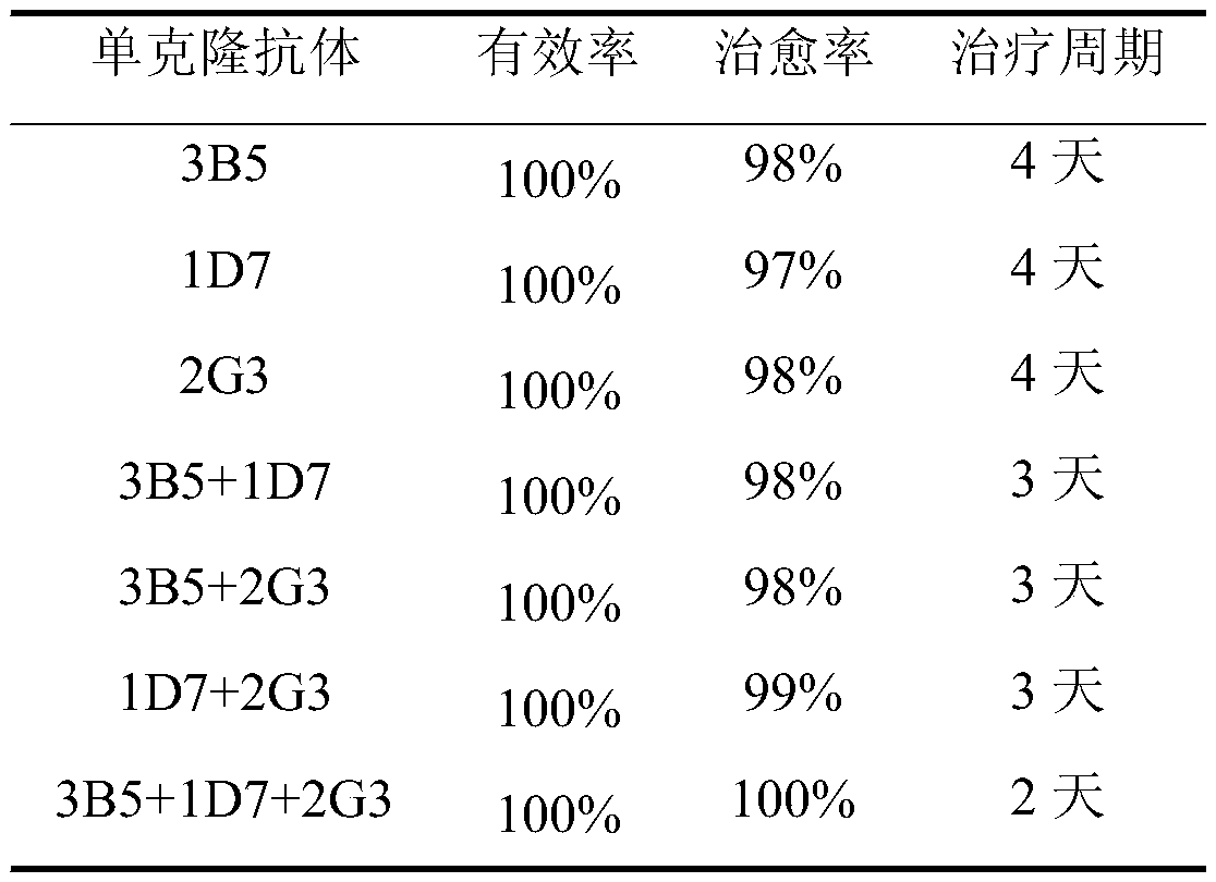 Monoclonal antibody hybridoma cell 3B5 strain capable of secreting H protein for resisting canine distemper virus