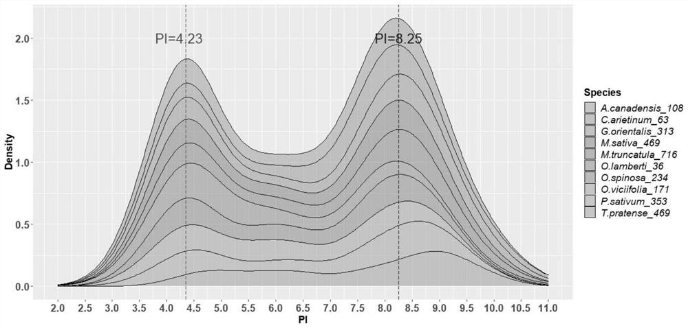 Artificial tandem polypeptide ADPs for improving nitrogen fixation efficiency of rhizobium, expression vector and construction and application of recombinant rhizobium