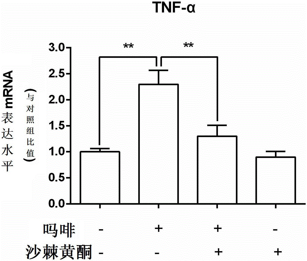 Application of seabuckthorn flavone in preparation of compositions for enhancing drug effect of opioids