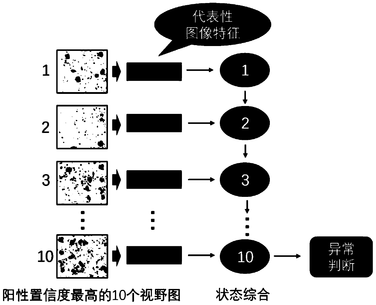 Construction of detection and classification model of pathological squamous epithelial cells