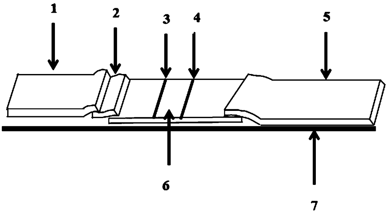 Preparation method of NSE test strip, test strip, test card and NSE test kit